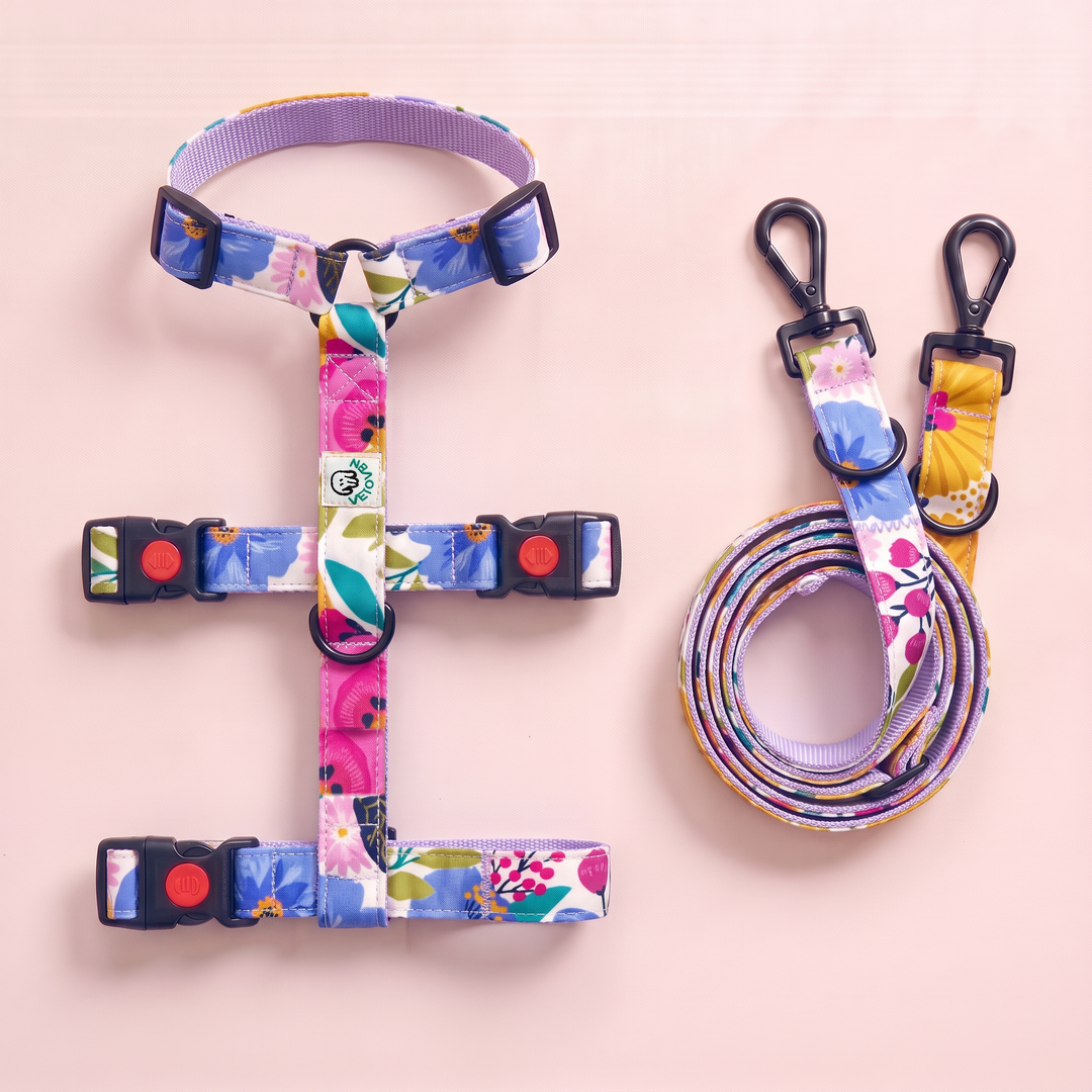 Set Paseo Galgo "Manos Libres" Amapola Pop
