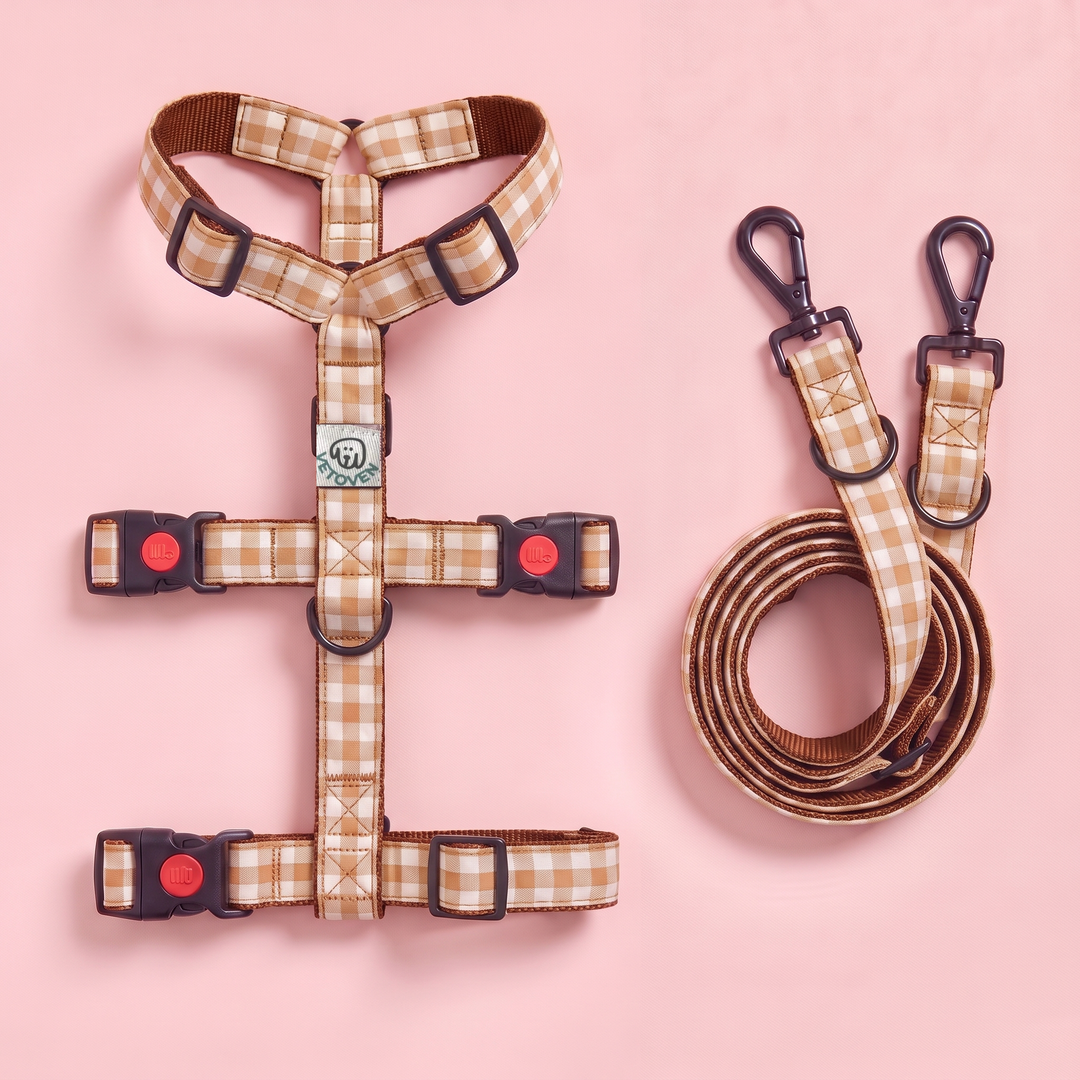 Set Paseo Galgo "Manos Libres" Vichy Bellota