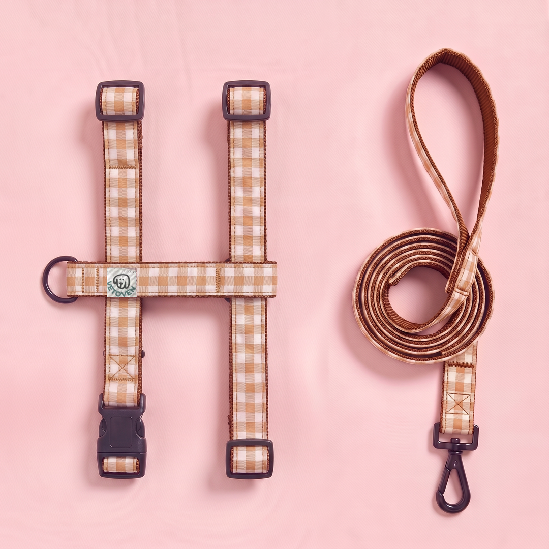 Set Paseo Arnés + Correa Vichy Bellota