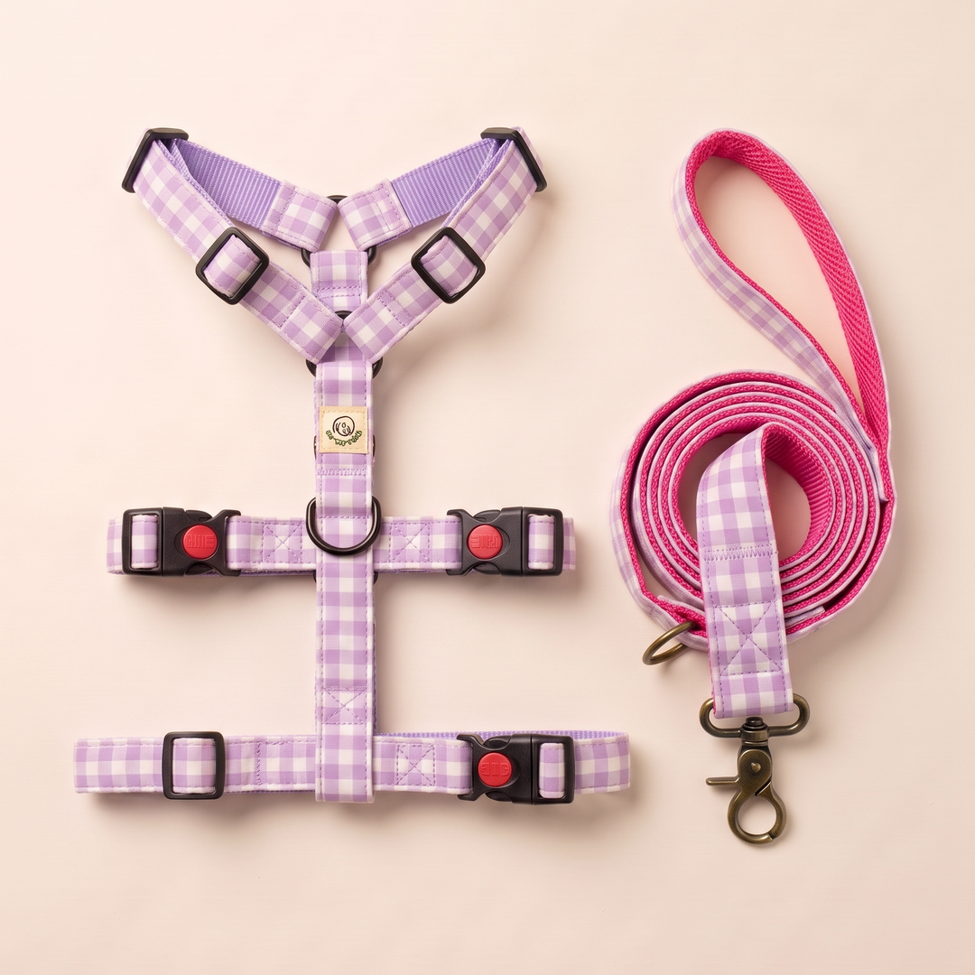 Set de Paseo Galgo Vichy Blossom