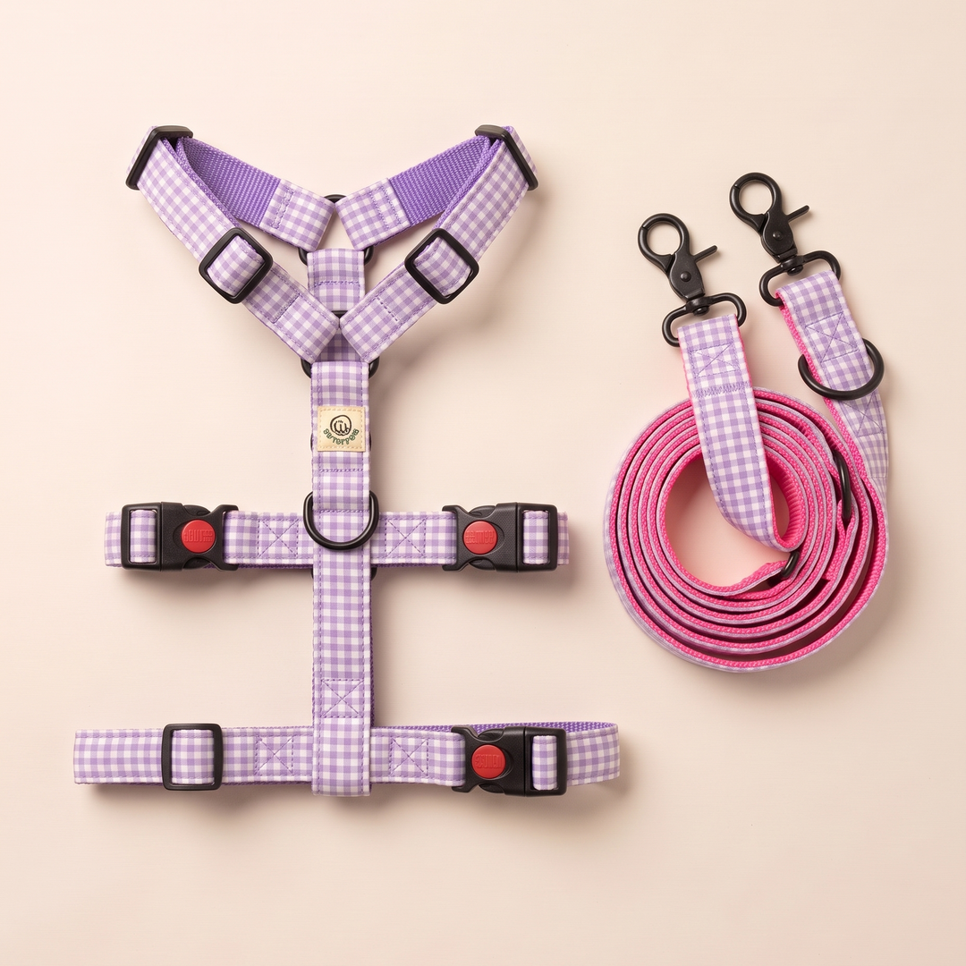 Set Paseo Galgo "Manos Libres" Vichy Pastel Blossom