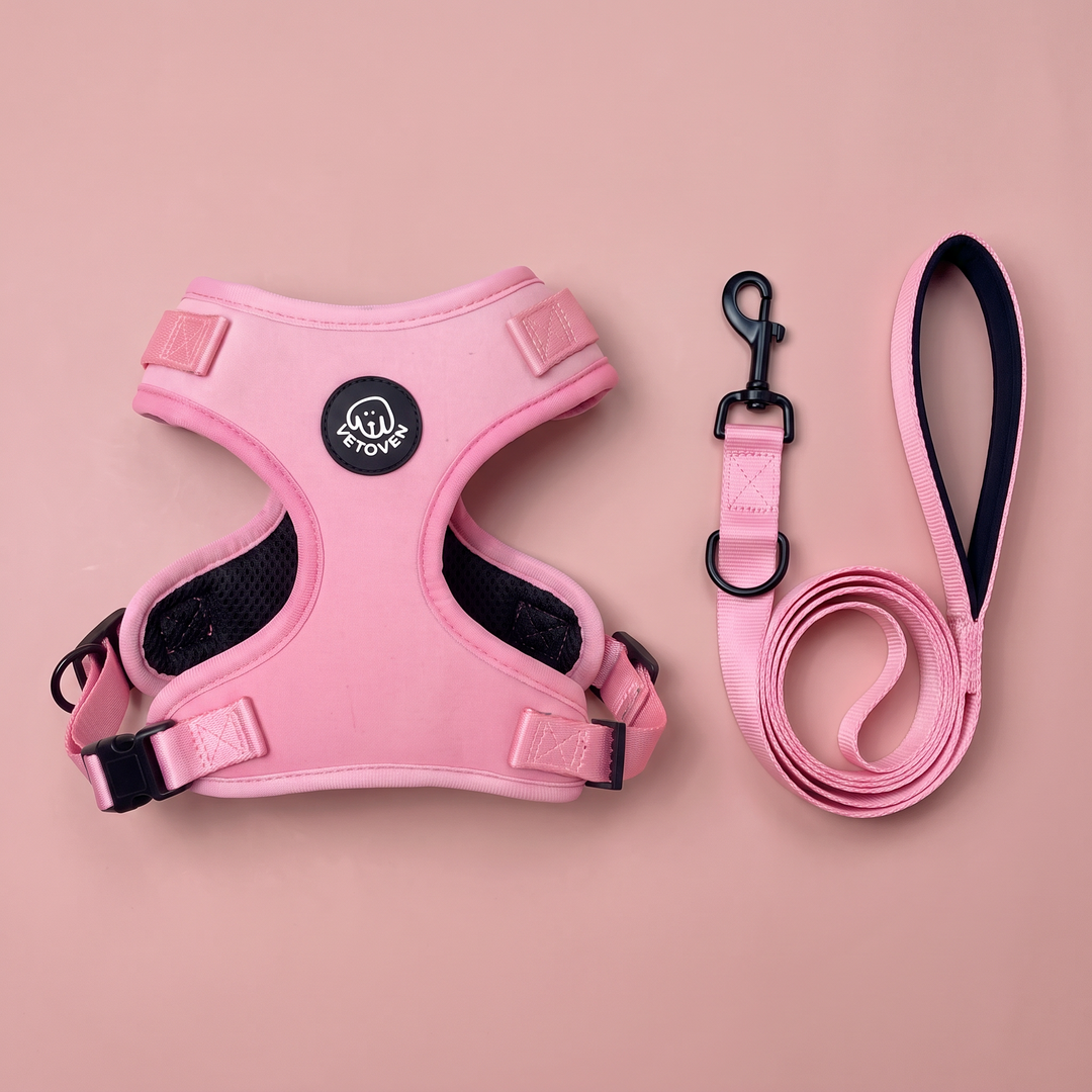Set Paseo Arnés + Correa Brezo – Colección Primavera