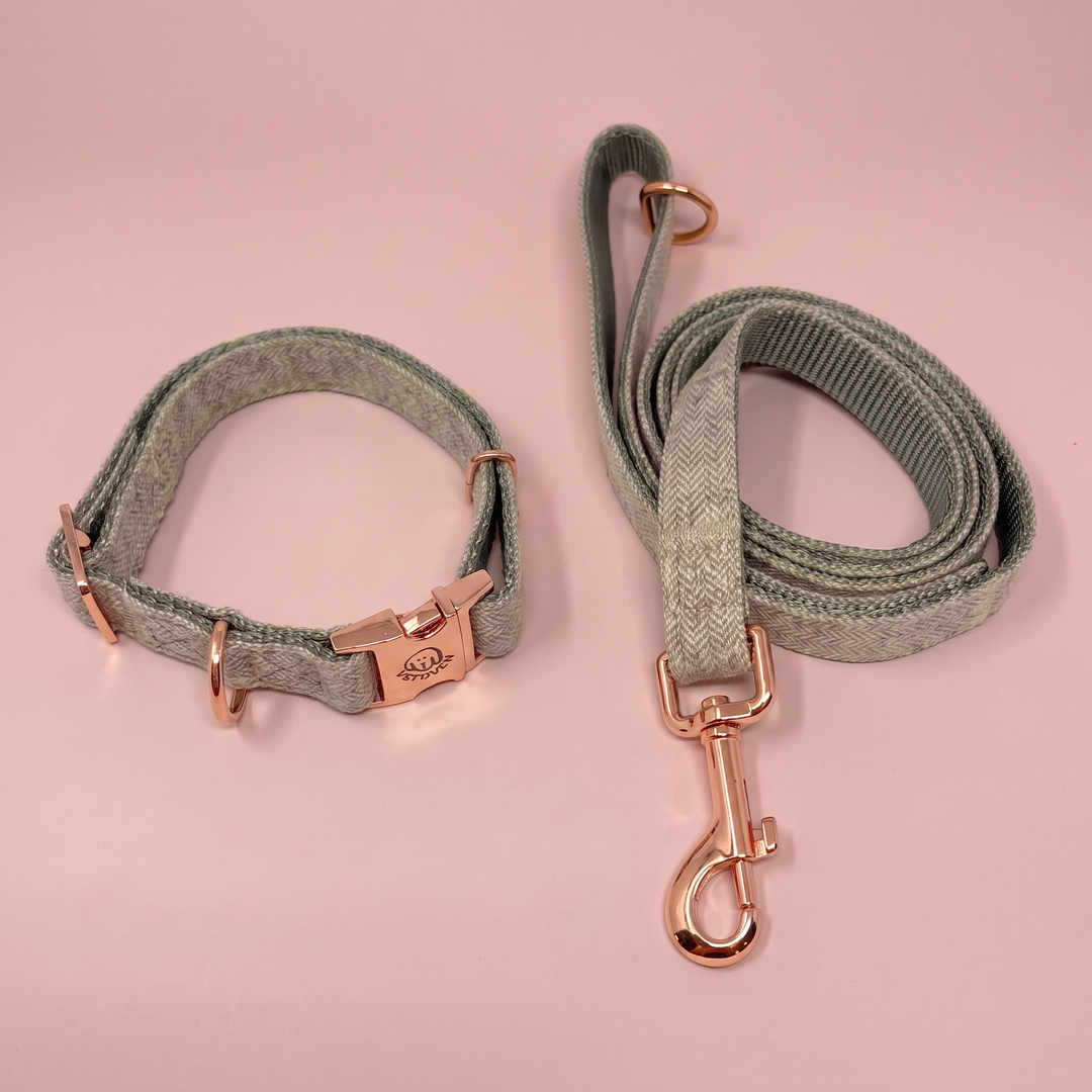 Set Paseo Collar + Correa Bruma de Pino – Colección Naturaleza