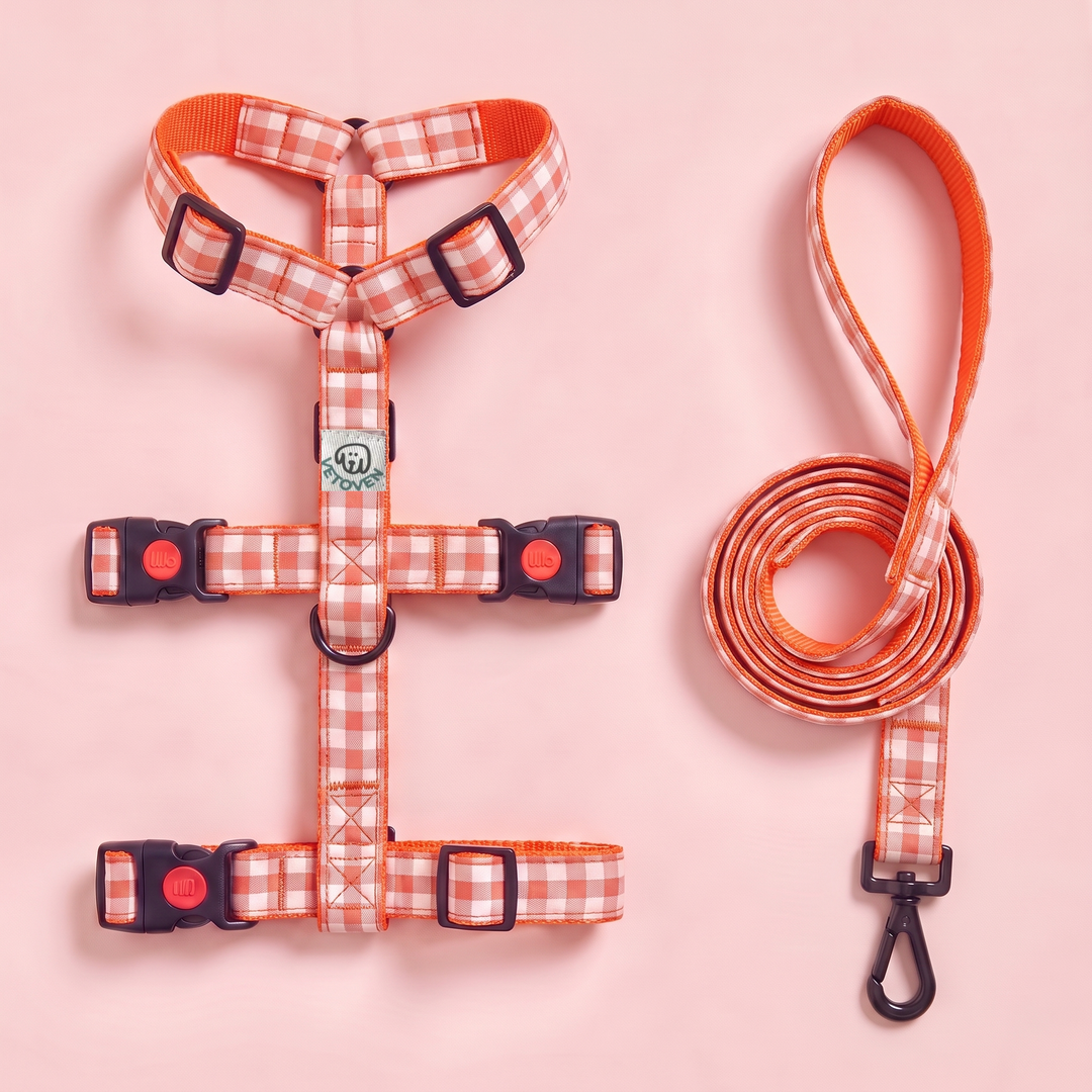Set Paseo Galgo Arnés + Correa Vichy Calabaza