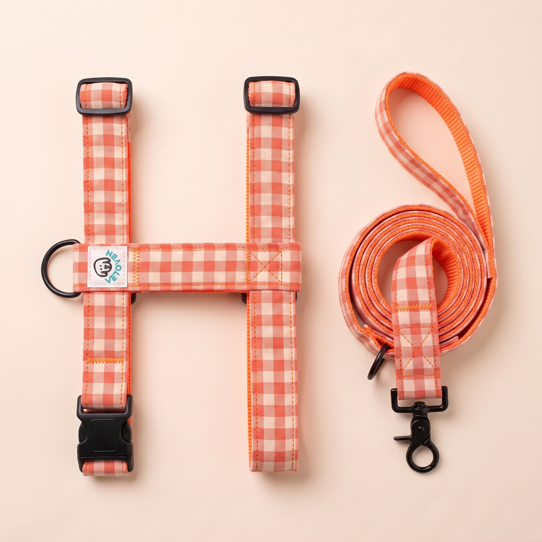 Set Paseo Arnés + Correa Vichy Calabaza