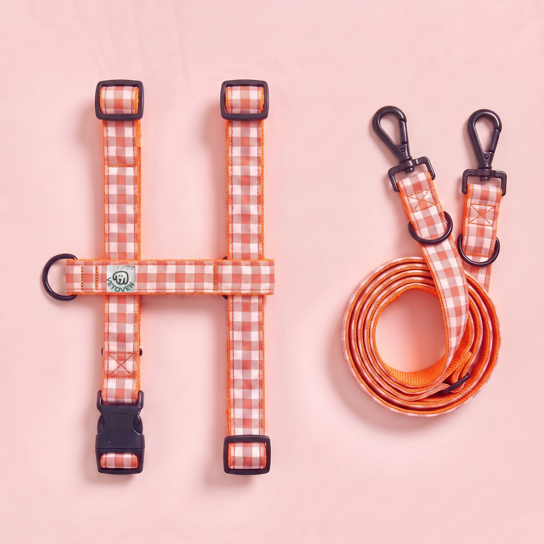 Set Paseo "Manos Libres" Arnés + Multiposición Vichy Calabaza