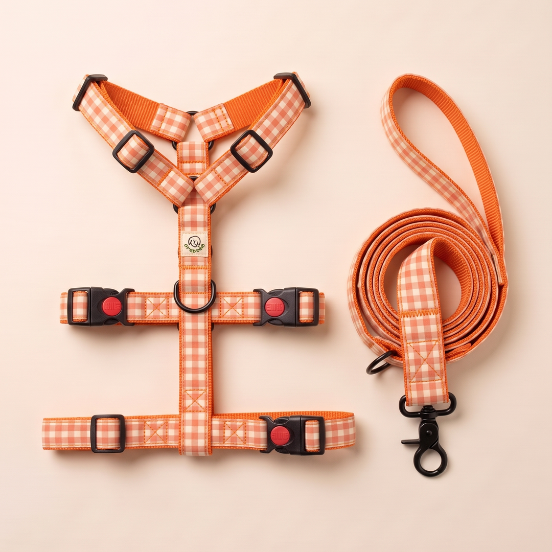 Set Paseo Galgo Arnés + Correa Vichy Neón Coral Pop