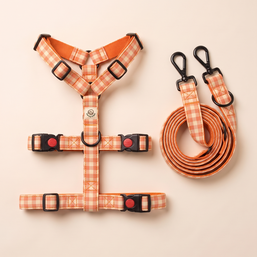 Set Paseo Galgo "Manos Libres" Vichy Calabaza