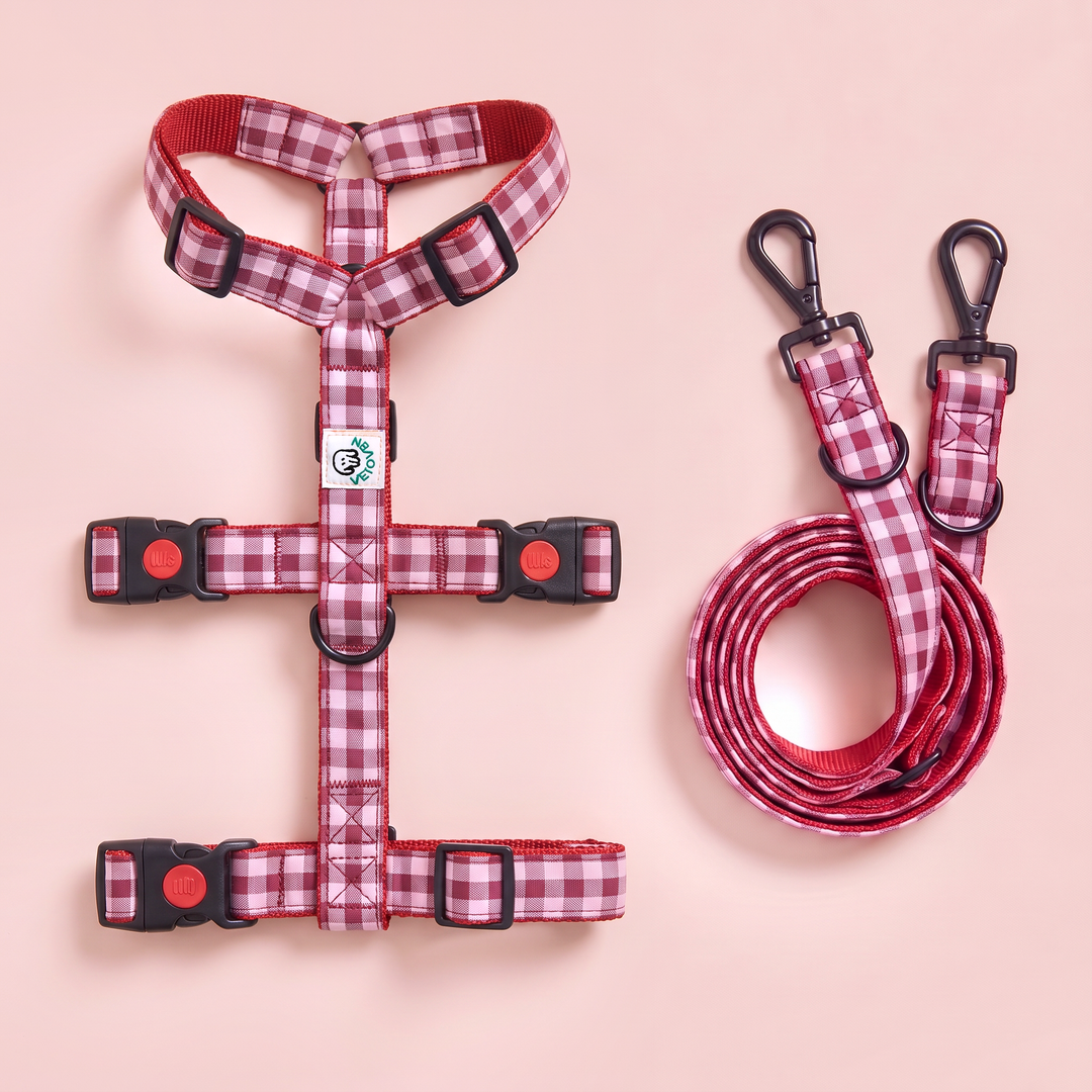 Set Paseo Galgo "Manos Libres" Vichy Cereza