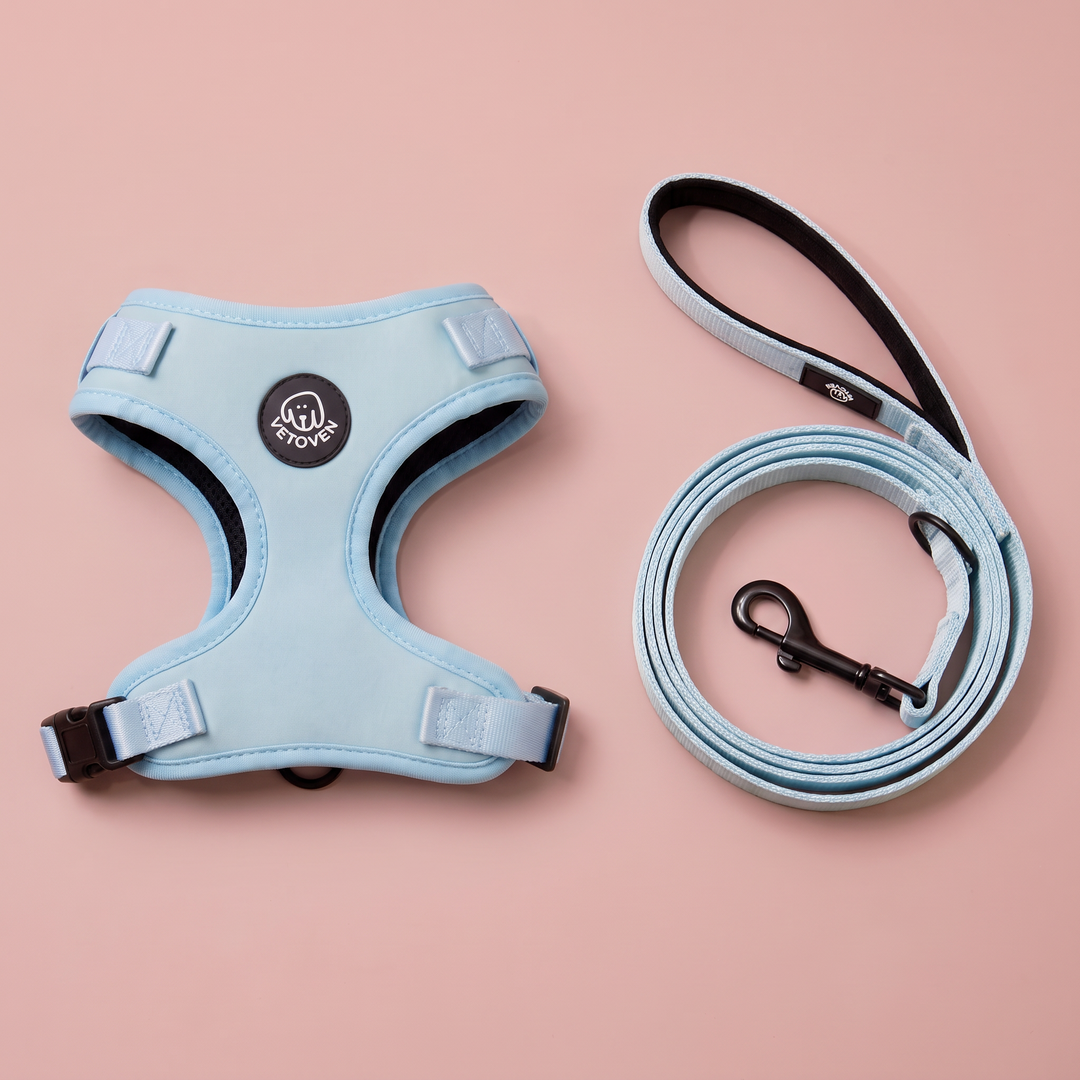 Set Paseo Arnés + Correa Cielo – Colección Primavera