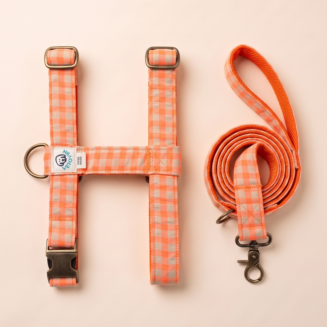 Set Paseo Arnés + Correa Vichy Neón Coral Pop