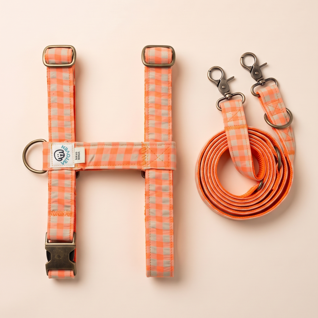 Set Paseo para perro Manos Libres Arnés + Multiposición Vichy Neón Coral Pop