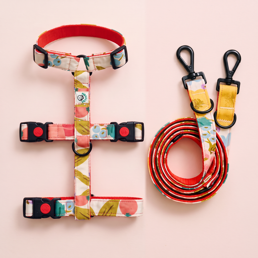 Set Paseo Galgo "Manos Libres" Flor de Grosella