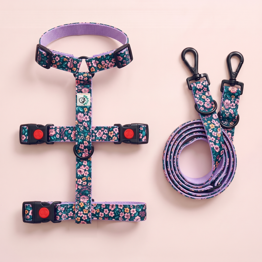 Set Paseo Galgo "Manos Libres" Flor de Jacinto