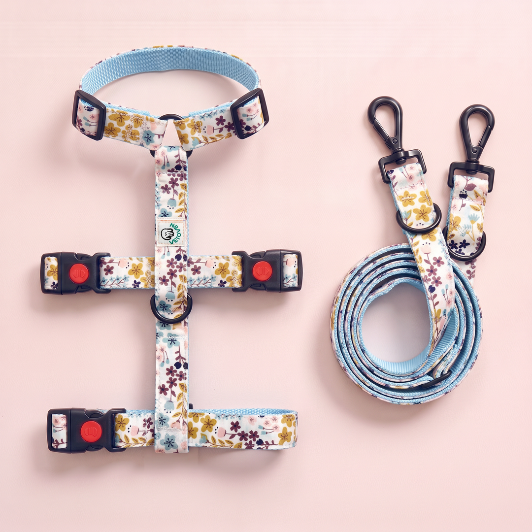 Set Paseo Galgo "Manos Libres" Flor de Tomillo