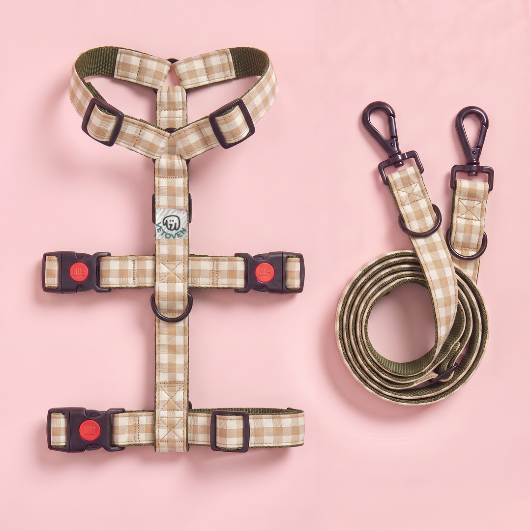 Set Paseo Galgo "Manos Libres" Vichy Helecho