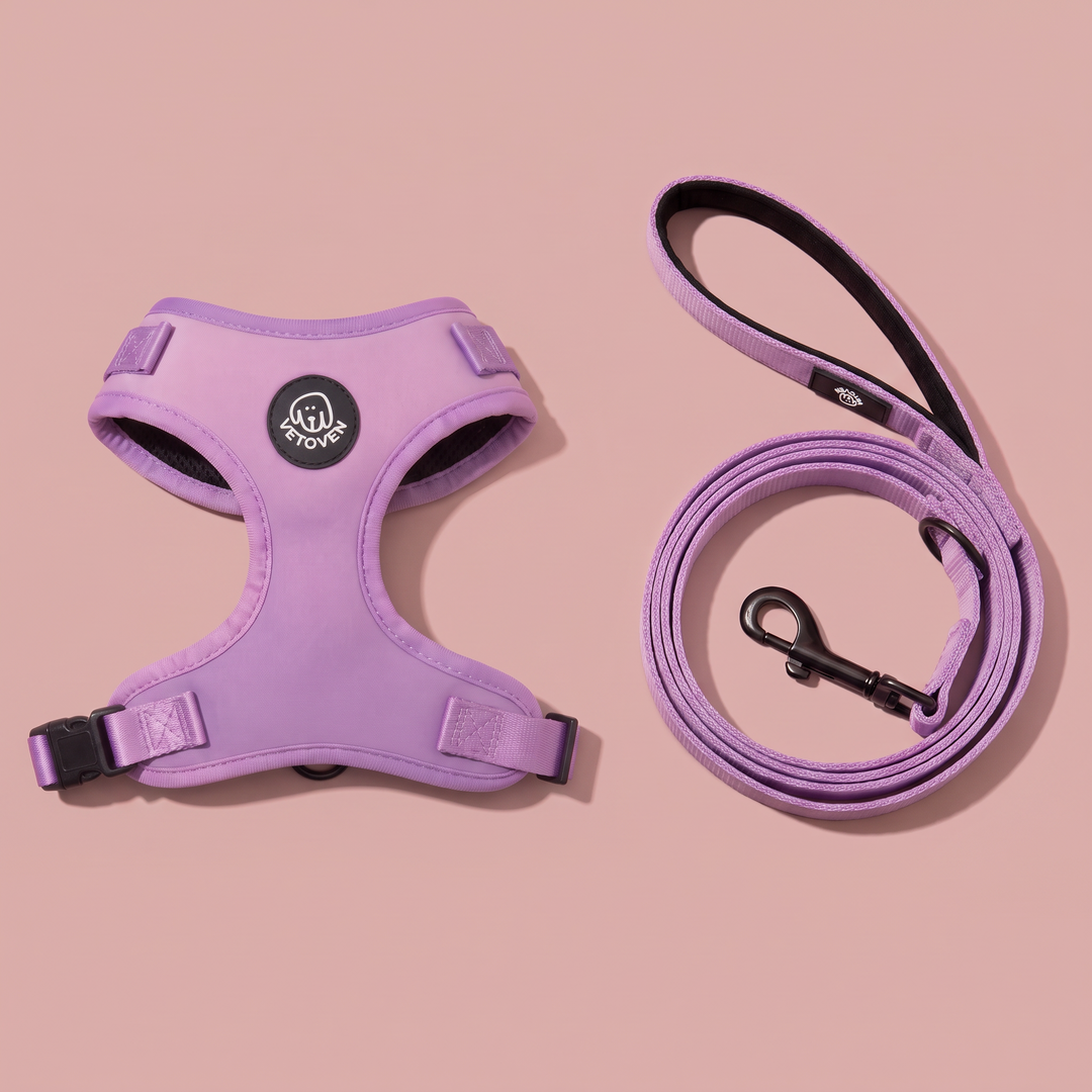 Set Paseo Arnés + Correa Lavanda – Colección Primavera
