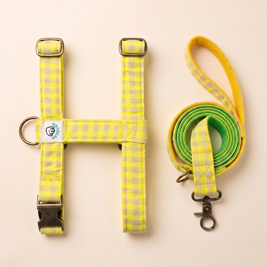 Set Paseo Arnés  - Correa Vichy Lemon