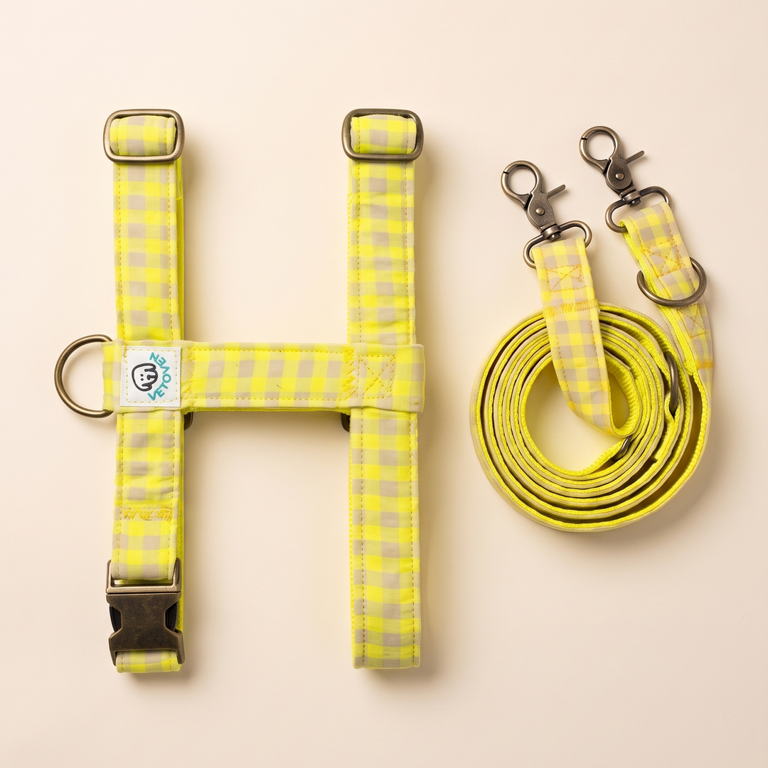 Set de Paseo "Manos Libres" Arnés-Correa Multi Vichy Neon Lemon