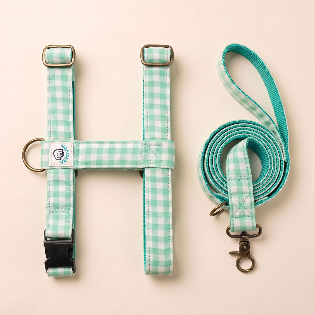 Set Paseo Arnés + Correa Vichy Mar