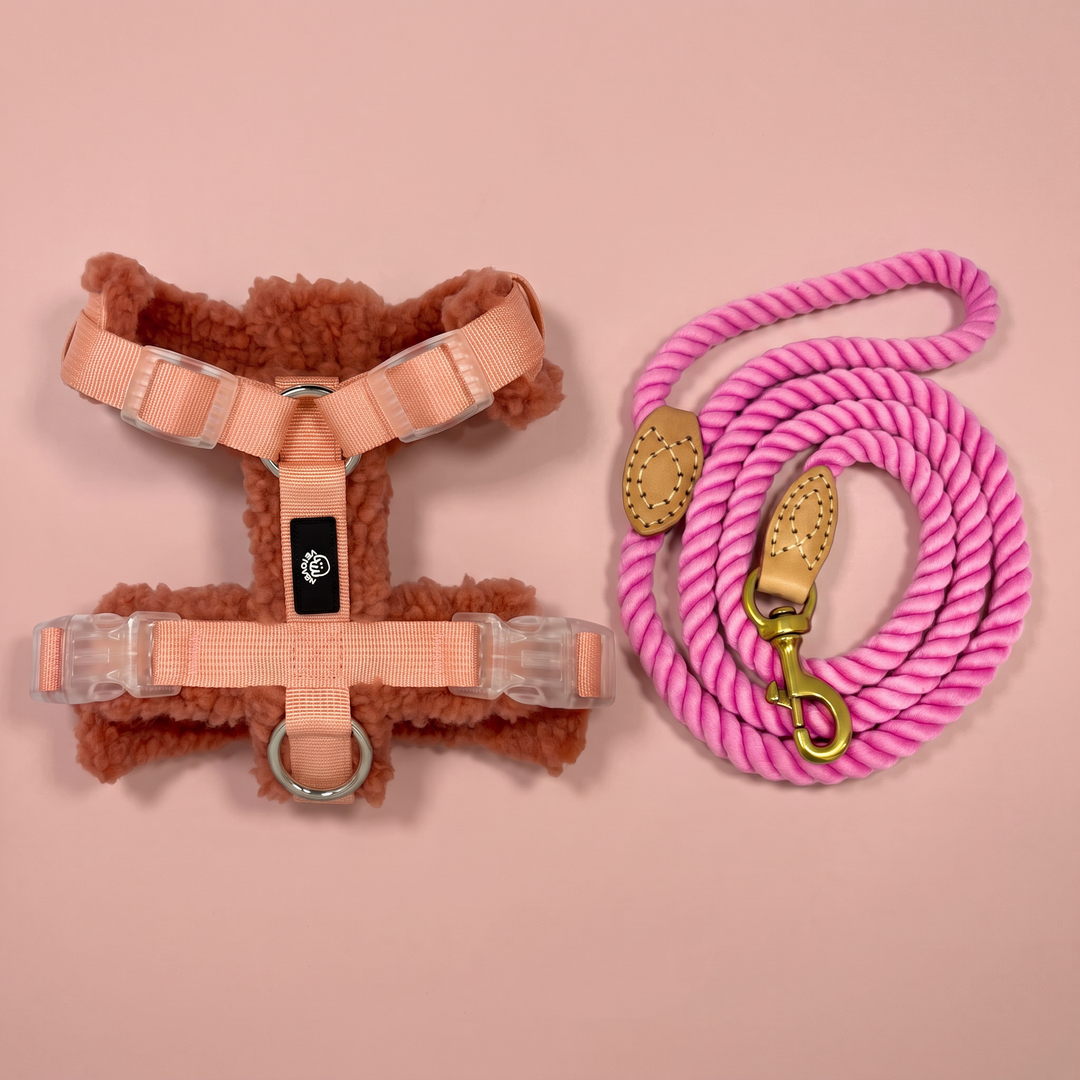 Set Paseo Arnés Merina Arcilla + Correa Algodón Rosa del Esla