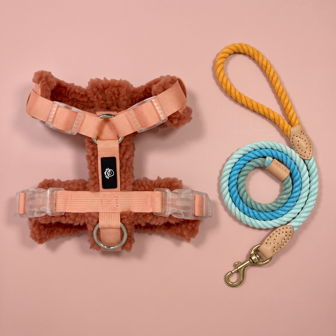 Set Paseo Arnés Merina Arcilla + Correa Algodón Verano del Duero