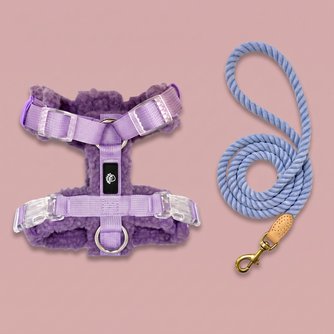 Set Paseo Arnés Merina Lavanda + Correa Algodón Bruma del Carrión