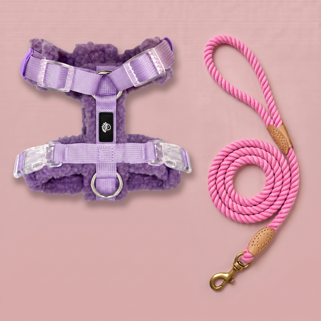 Set Paseo Arnés Merina Lavanda + Correa Algodón Rosa del Esla