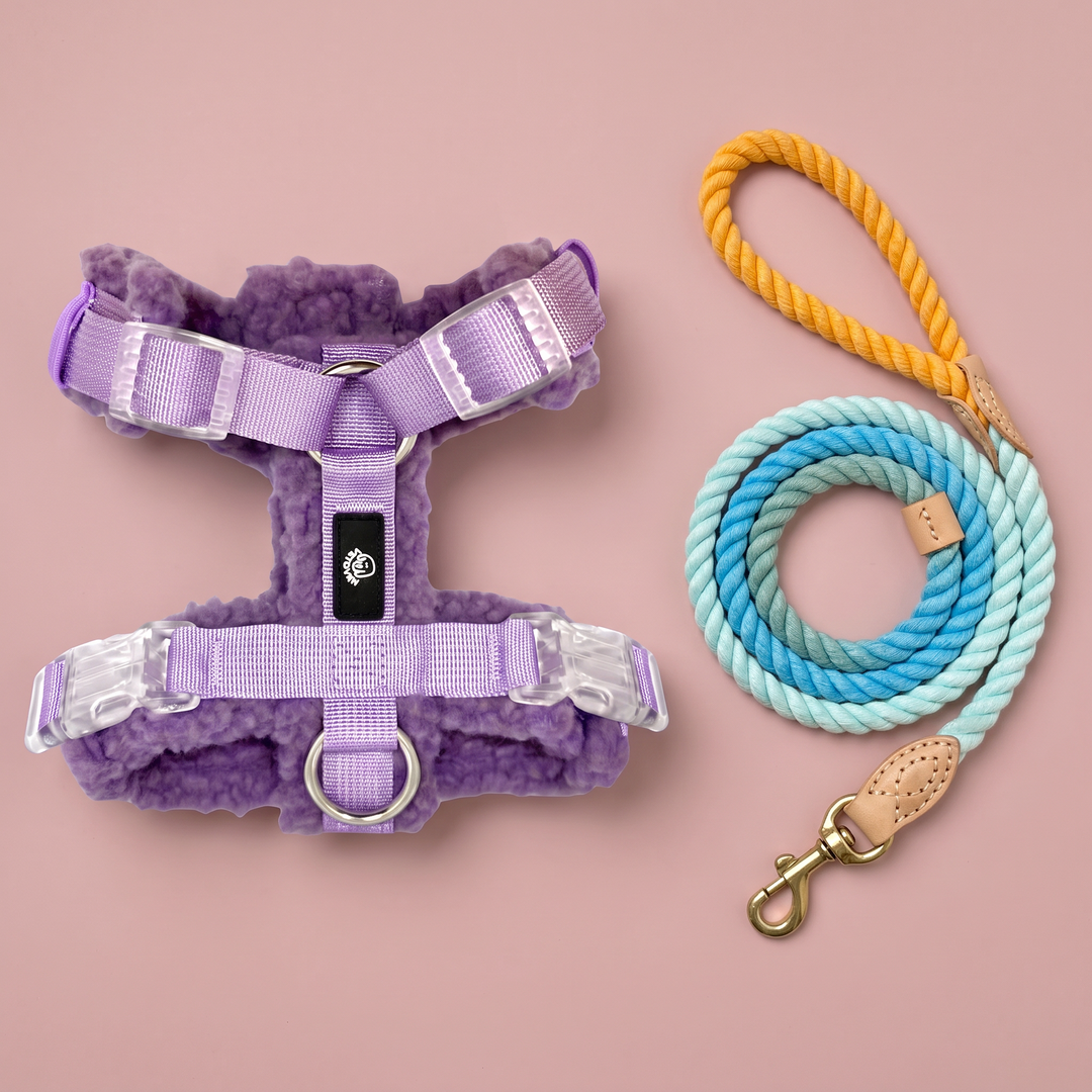 Set Paseo Arnés Merina Lavanda + Correa Algodón Verano del Duero