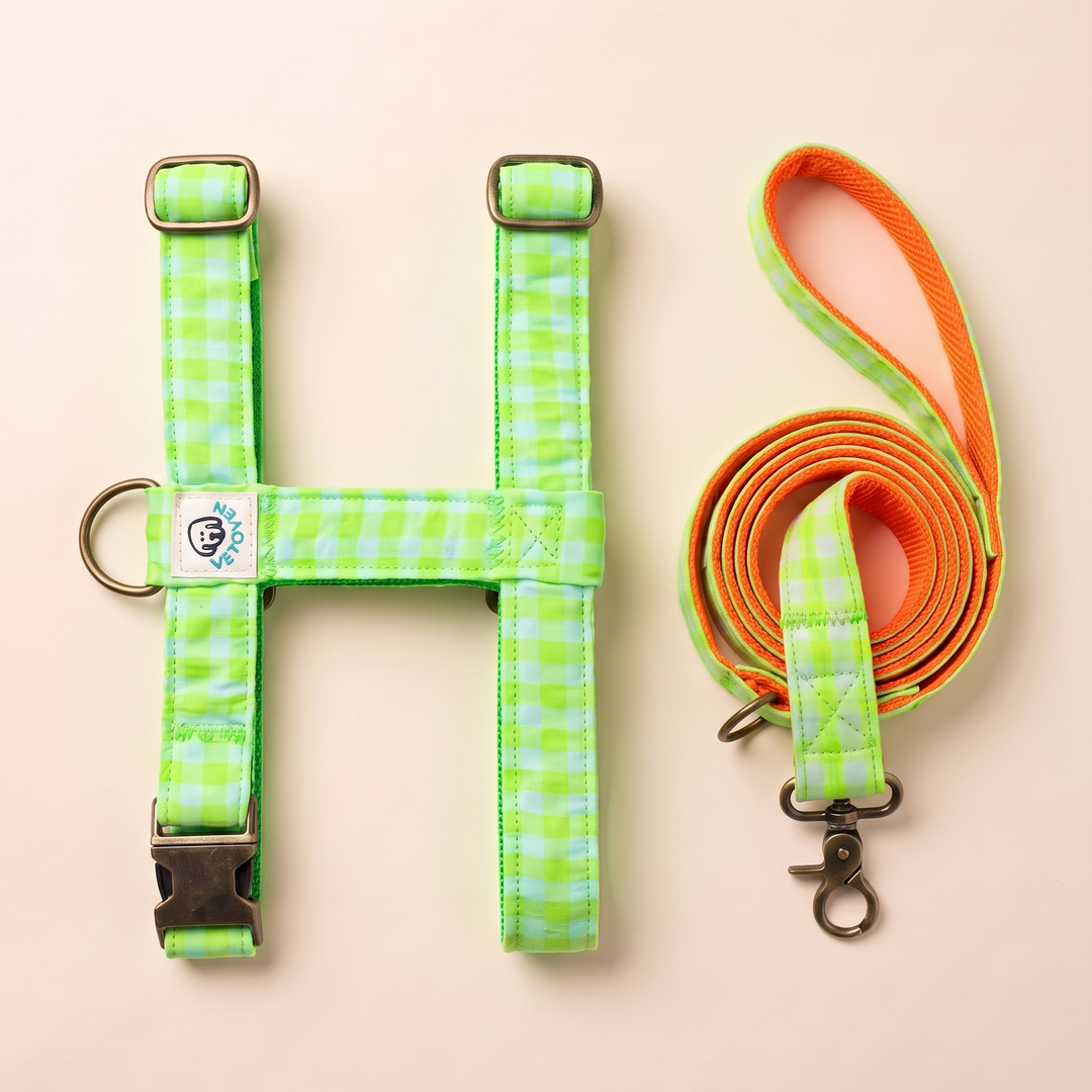 Set Paseo Arnés + Correa Vichy Neón Green
