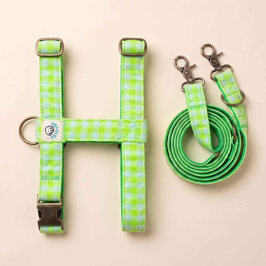 Set Paseo para perro Manos Libres Arnés + Multiposición Vichy Neón Green