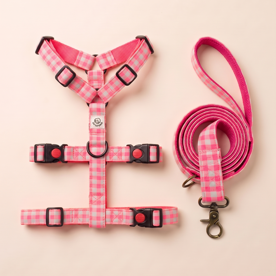 Set de Paseo Galgo Vichy Neon Pink