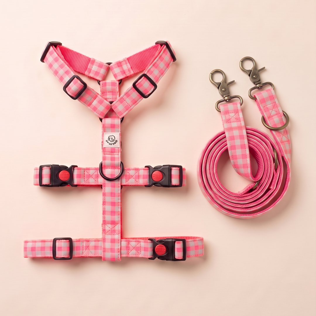 Set de Paseo "Manos Libres" Galgo Vichy Neon Pink