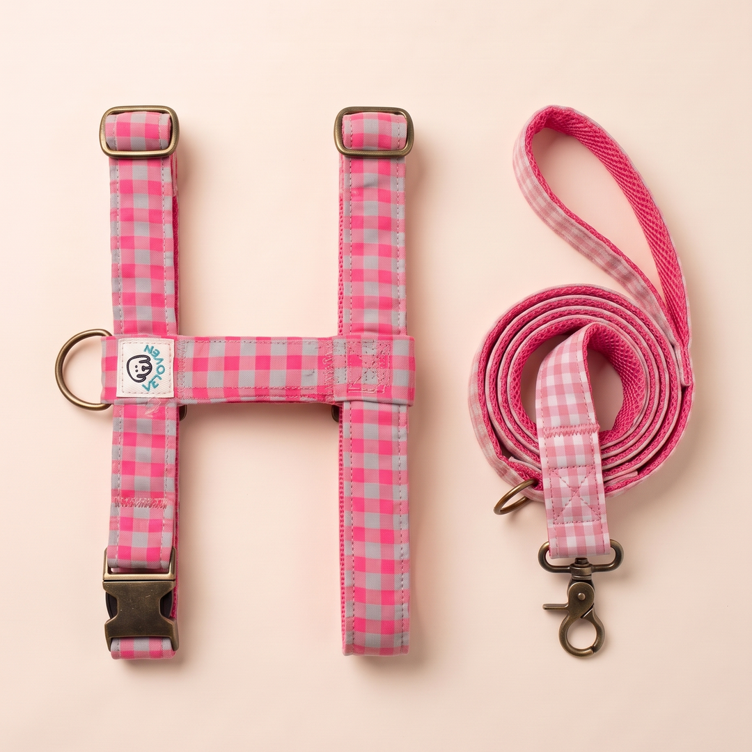 Set Paseo Arnés - Correa Vichy Neon Pink