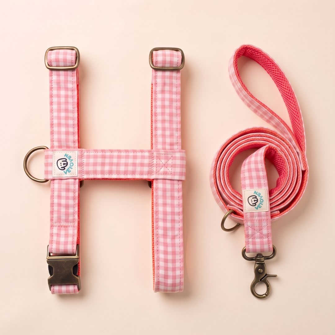 Set Paseo Arnés + Correa Vichy Rose