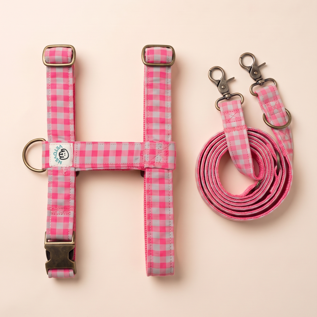 Set Paseo "Manos Libres" Arnés Vichy Neon Pink