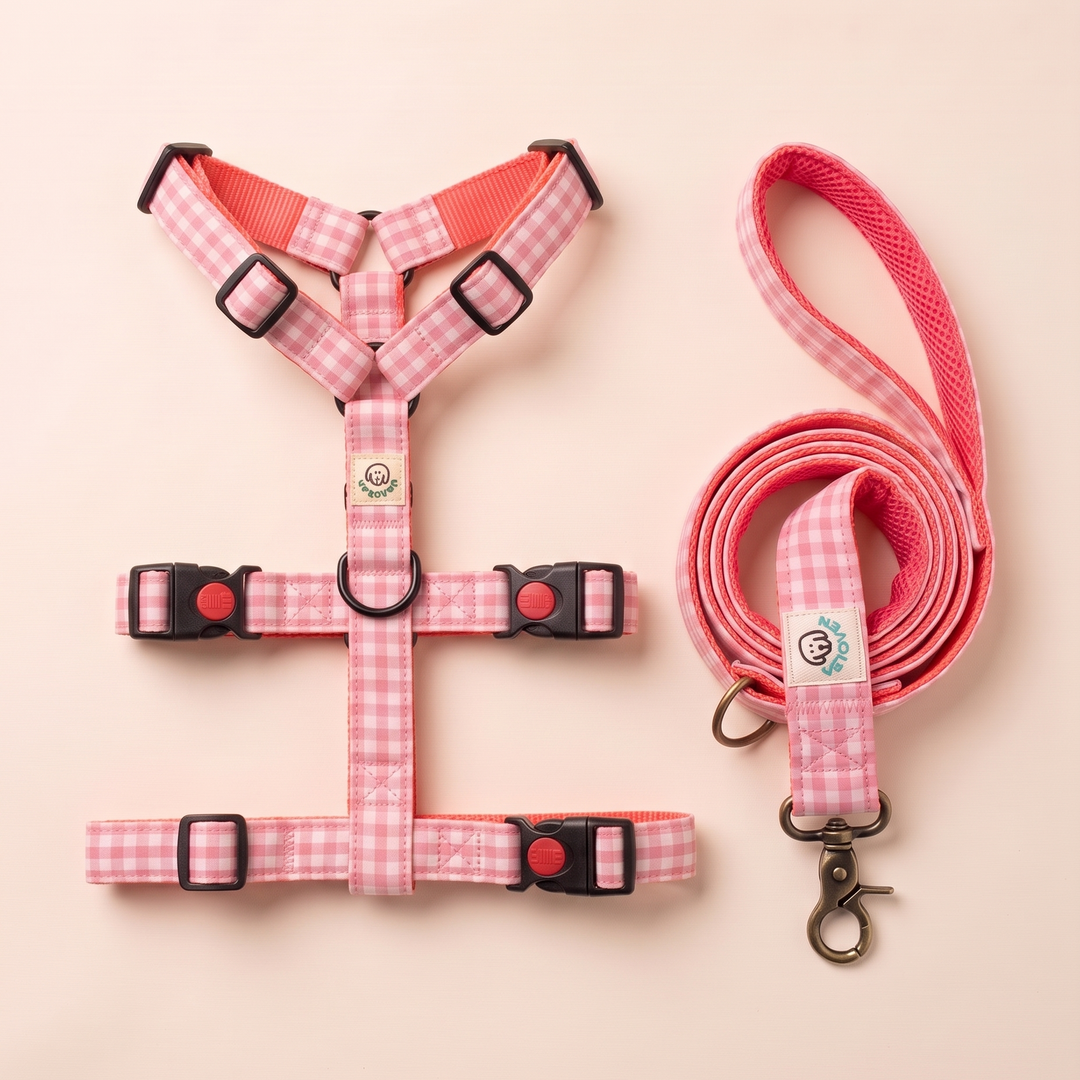 Set Paseo Galgo Arnés + Correa Vichy Rose