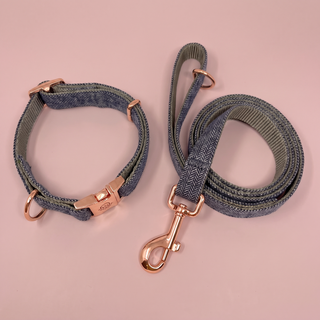 Set Paseo para perro Collar + Correa Sombra de Carbón – Colección Naturaleza