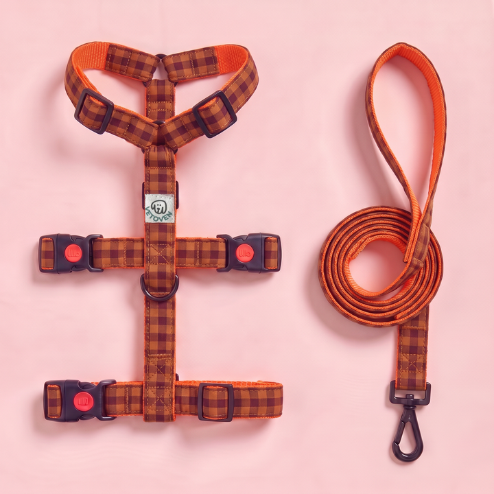 Set Paseo Galgo Arnés + Correa Vichy Teja