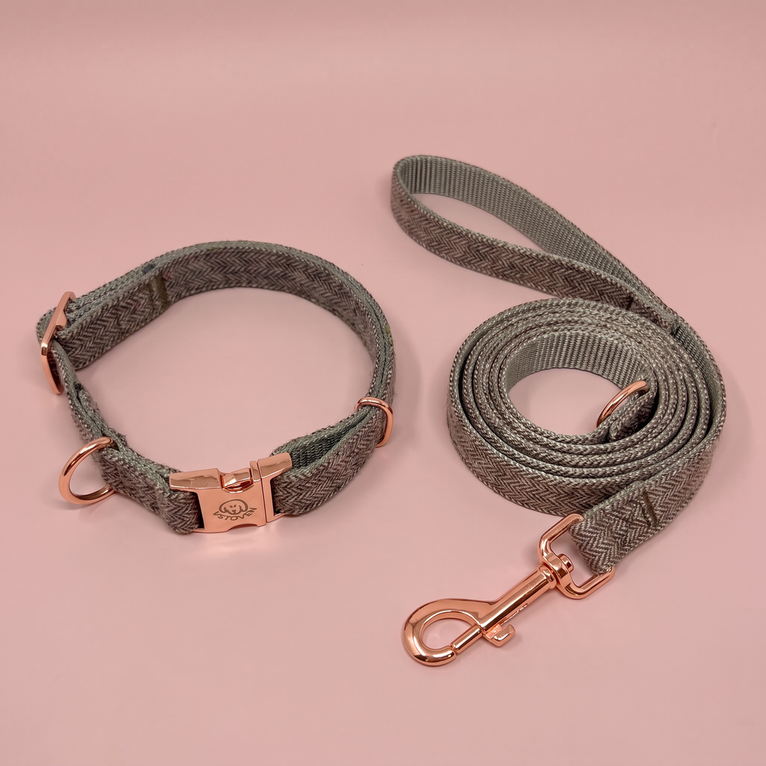 Set Paseo para perro Collar + Correa Tierra Cálida – Colección Naturaleza