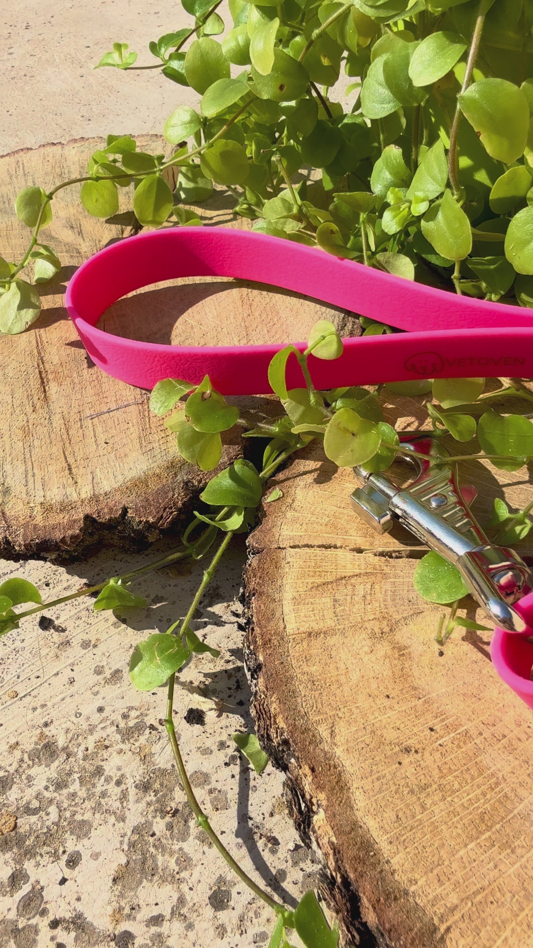 Correa para Perro “Río Magenta” – Colección Waterproof