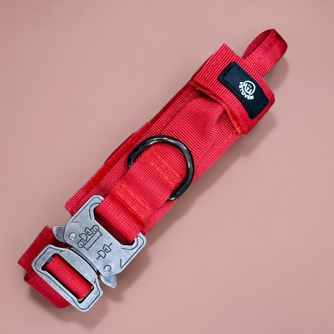 Collar para Perro Rojo Volcán – Colección Roca y Ruta – vista 2