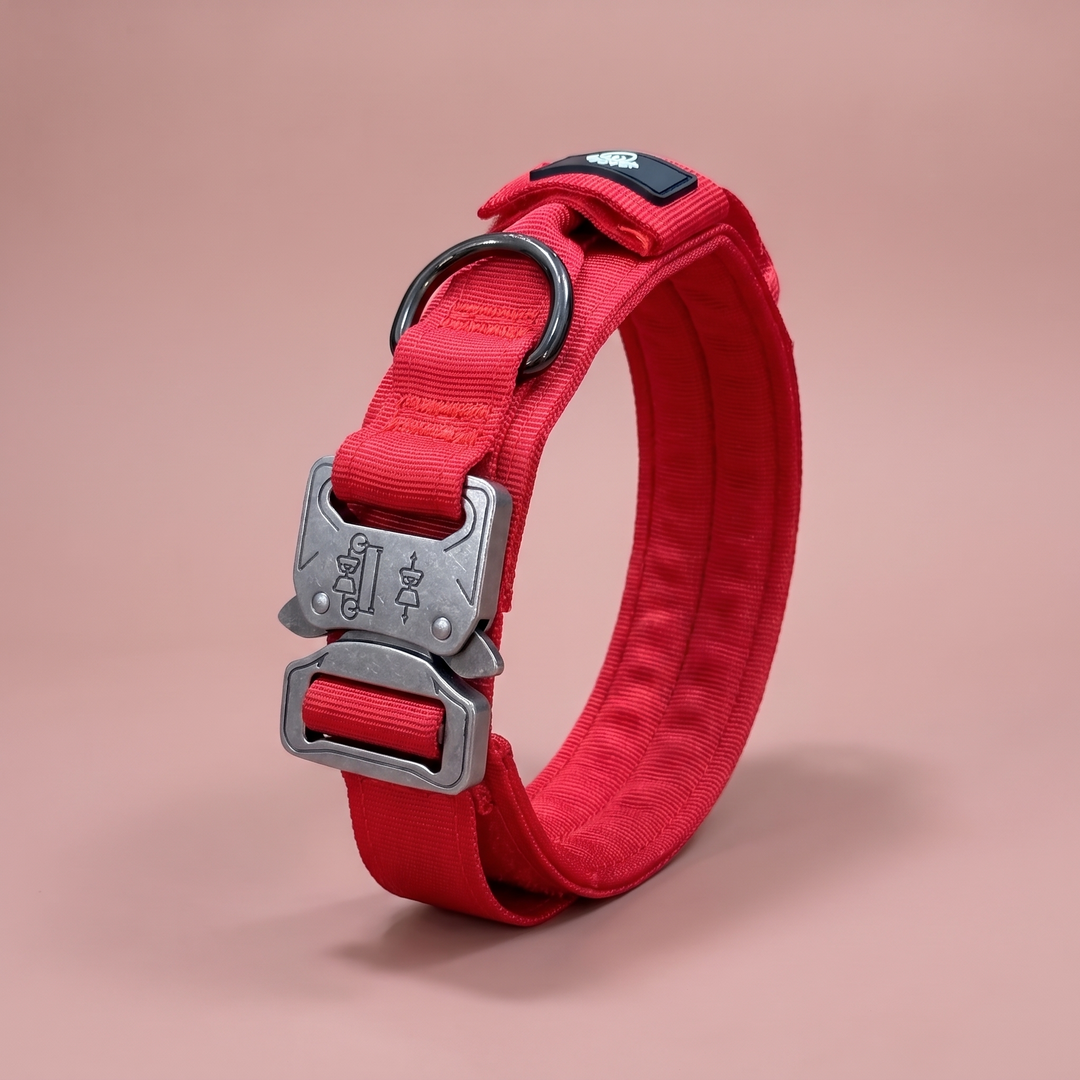Collar para Perro Rojo Volcán – Colección Roca y Ruta – cerrado