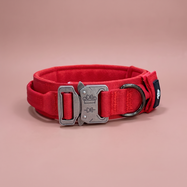 Collar para Perro Rojo Volcán – Colección Roca y Ruta