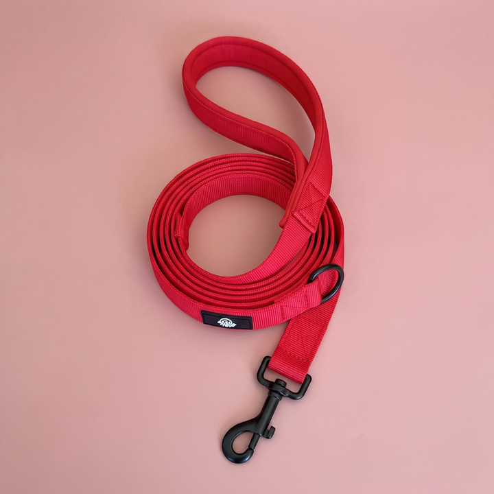 Correa para Perros Rojo Volcán – Colección Roca & Ruta Vetoven