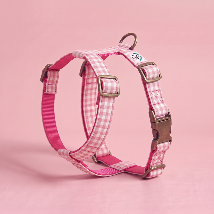 Arnés para Perros Vichy Rose – puesto de pie