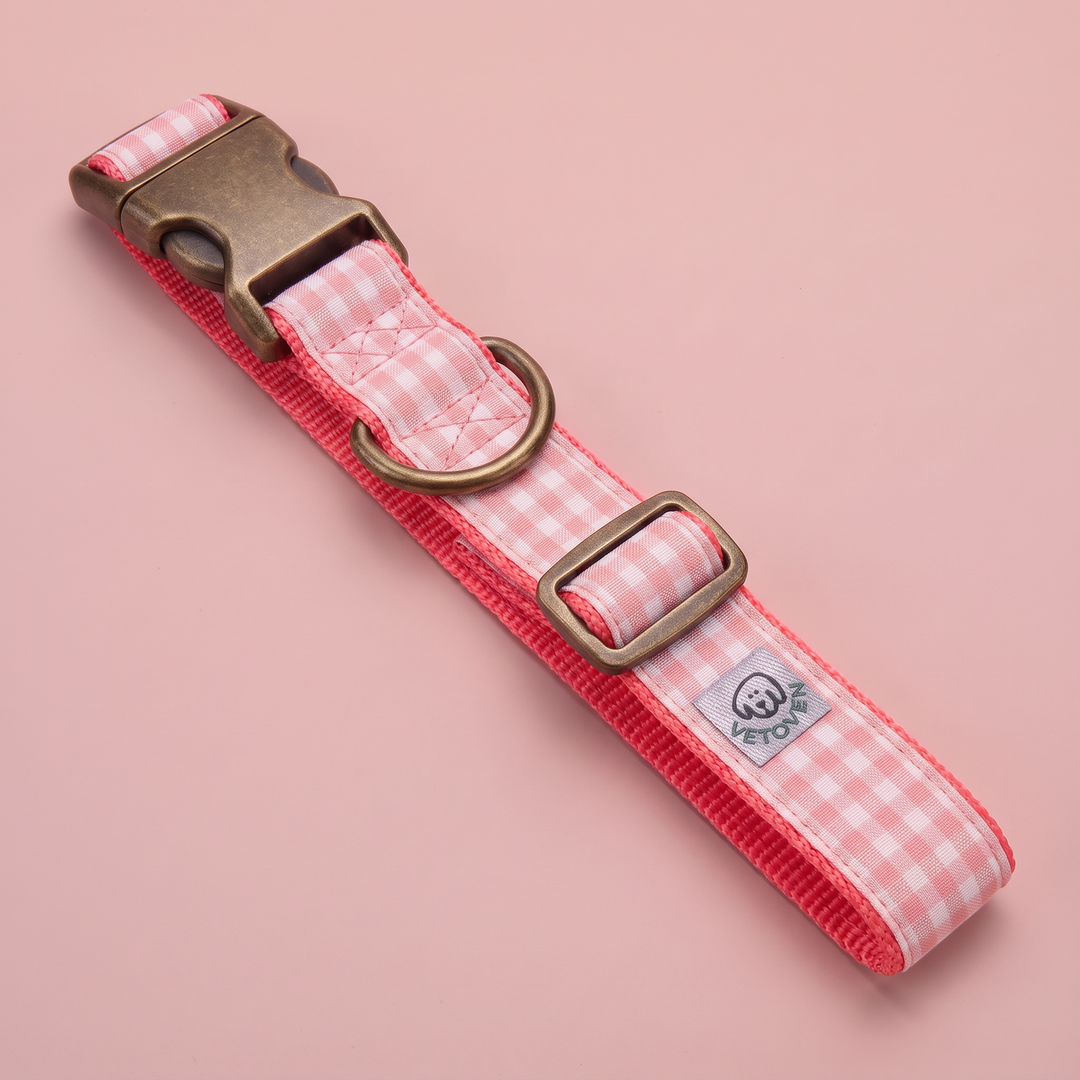 Collar para Perros Vichy Rose – vista plana