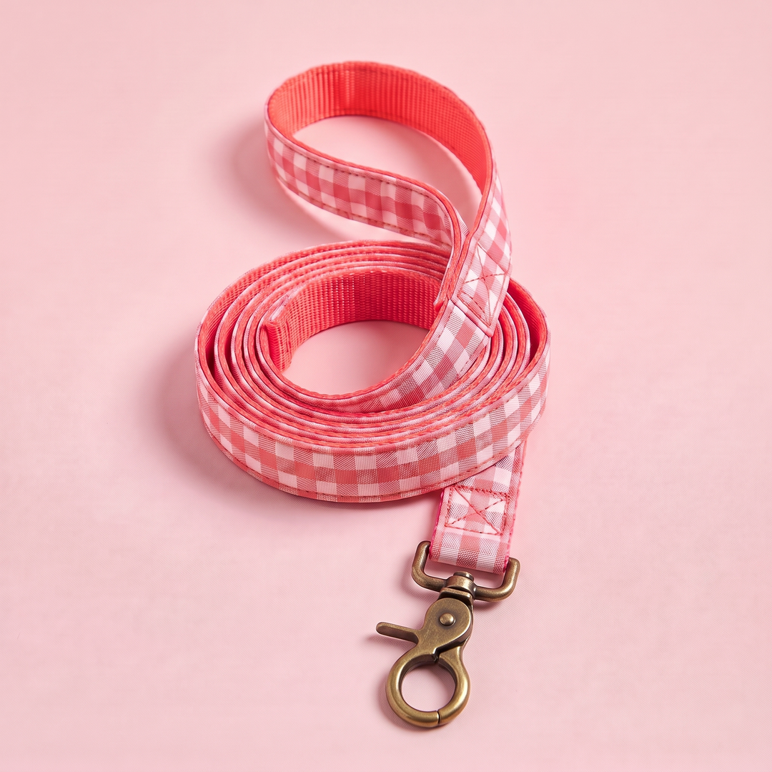 Correa para Perros Vichy Rose (150 cm) – enrollada