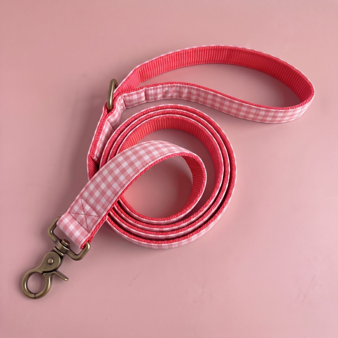 Correa para Perros Vichy Rose (150 cm)