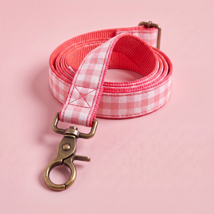 Correa para Perros Vichy Rose (150 cm) – detalle del mosquetón